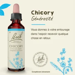 Fleurs de Bach Chicory n°8