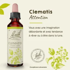Fleurs de Bach Clematis n°9