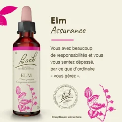 Fleurs de Bach Elm n°11