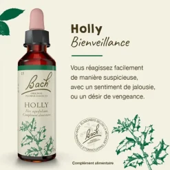 Fleurs de Bach Holly n°15