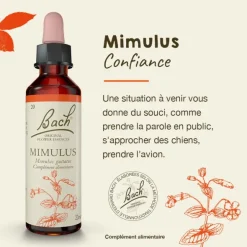 Fleurs de Bach Mimulus n°20