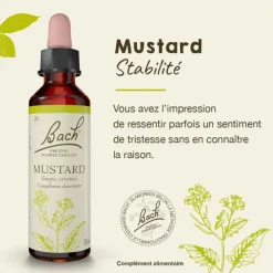 Fleurs de Bach Mustard n°21