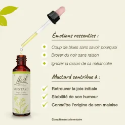 Fleurs de Bach Mustard n°21