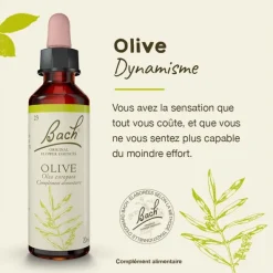 Fleurs de Bach Olive n°23
