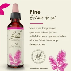 Fleurs de Bach Pine n°24