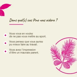 Fleurs de Bach Pine n°24