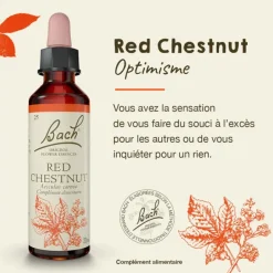 Fleurs de Bach Red chestnut n°25