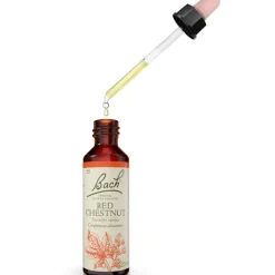 Fleurs de Bach Red chestnut n°25