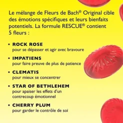 Fleurs de Bach Rescue Kids fraise pastilles