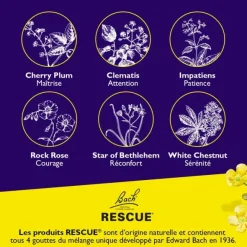 Fleurs de Bach Rescue Nuit Kids gouttes buvables