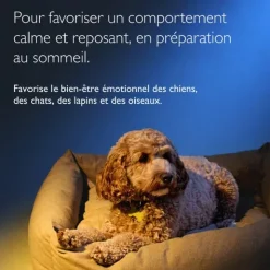 Fleurs de Bach Rescue Nuit Pets