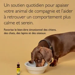 Fleurs de Bach Rescue Remedy Pets