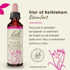 Fleurs de Bach Star of Bethlehem n°29