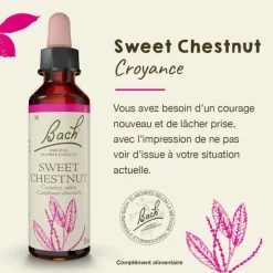 Fleurs de Bach Sweet chestnut n°30