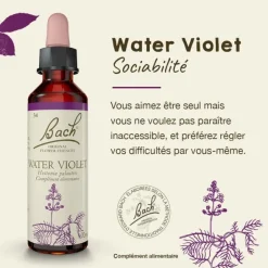 Fleurs de Bach Water violet n°34