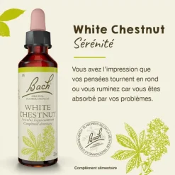 Fleurs de Bach White chestnut n°35