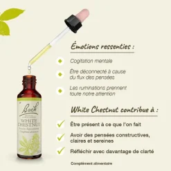 Fleurs de Bach White chestnut n°35