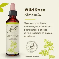 Fleurs de Bach Wild rose n°37