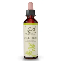 Fleurs de Bach Wild rose n°37