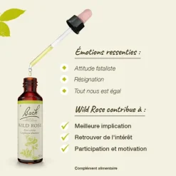 Fleurs de Bach Wild rose n°37