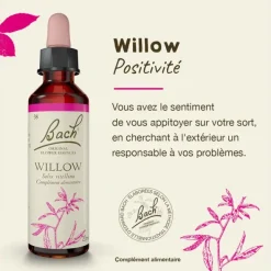 Fleurs de Bach Willow n°38