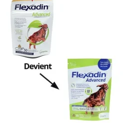 Flexadin Advanced Boswellia bouchées pour Chien