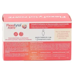 Flexofytol Forte comprimés