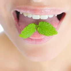 Fluocaril spray buccal rafraichissant