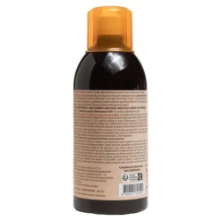 Forté Pharma Turbodraine thé pêche solution buvable