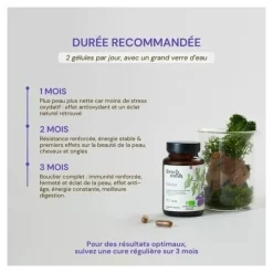 French Mush Chaga Bio gélules