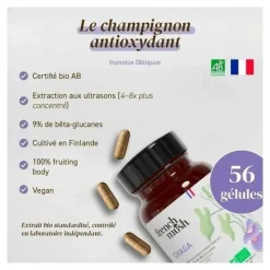 French Mush Chaga Bio gélules