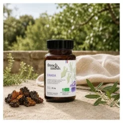 French Mush Chaga Bio gélules