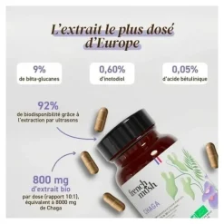 French Mush Chaga Bio gélules