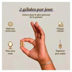 French Mush Chaga Bio gélules