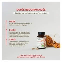 French Mush Cordyceps Bio gelules