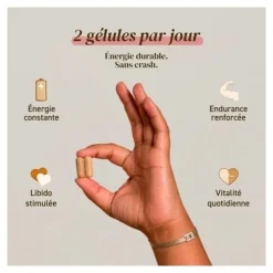 French Mush Cordyceps Bio gelules