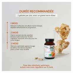 French Mush Lion's Mane Bio gélules