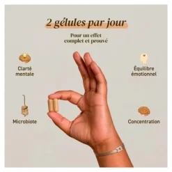 French Mush Lion's Mane Bio gélules