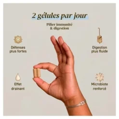 French Mush Shiitake bio gélules