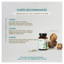 French Mush Shiitake bio gélules