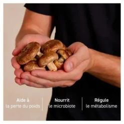 French Mush Shiitake bio gélules