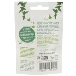 Frescoryl Dentifrice à croquer menthe comprimés