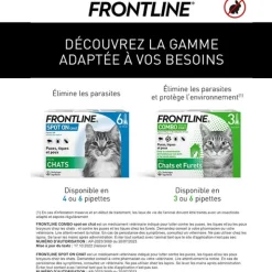Frontline chat pipette anti puce