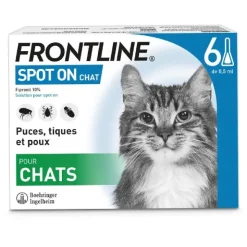 Frontline chat pipette anti puce