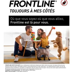 Frontline chat pipette anti puce