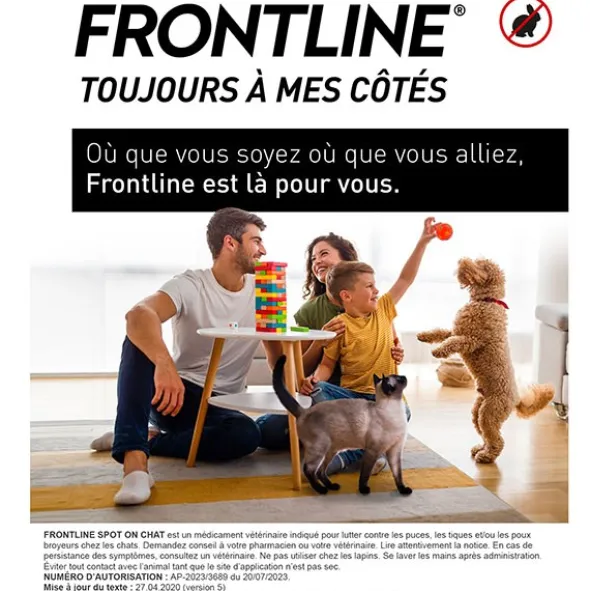 Frontline chat pipette anti puce