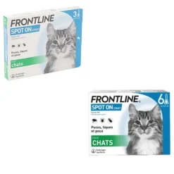 Frontline chat pipette anti puce