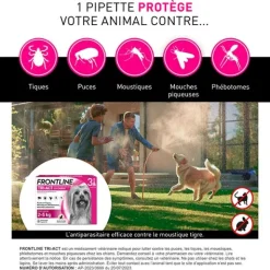 Frontline TRI-ACT spot on pipettes pour chien