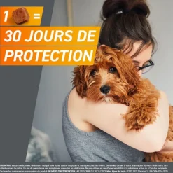 Frontpro Chien comprimé anti puces
