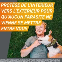 Frontpro Chien comprimé anti puces